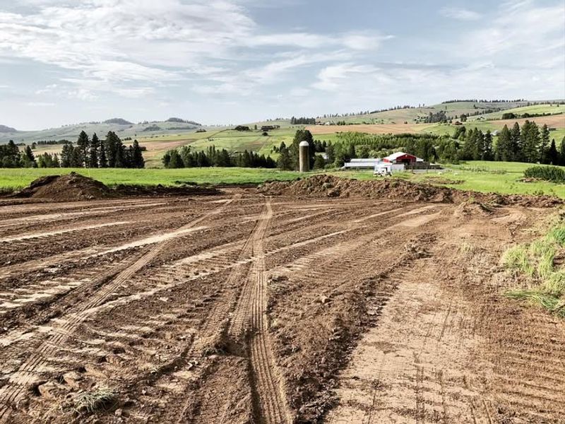 Micronutrient Depletion Creates Hidden Deficiencies