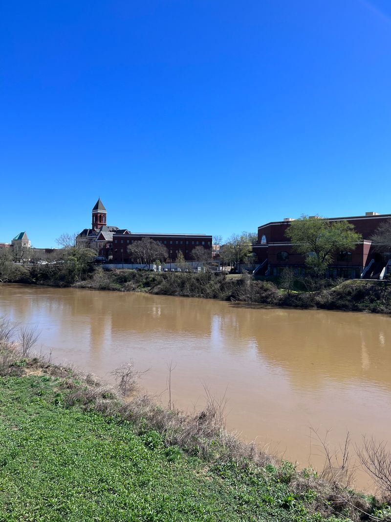 Former Industrial Site Reclaimed by Nature in Rome