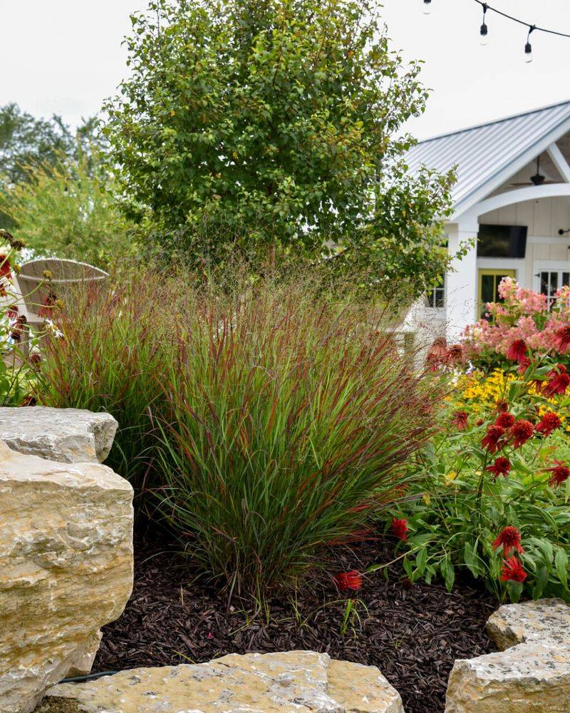 Soil Health Improves Dramatically Over Time