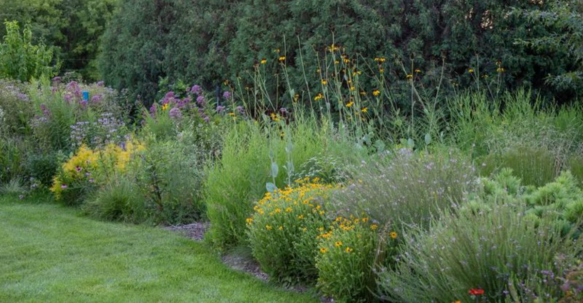 Prairie Minimalism Is The Next Big Garden Trend — And Kansas Is Leading The Way