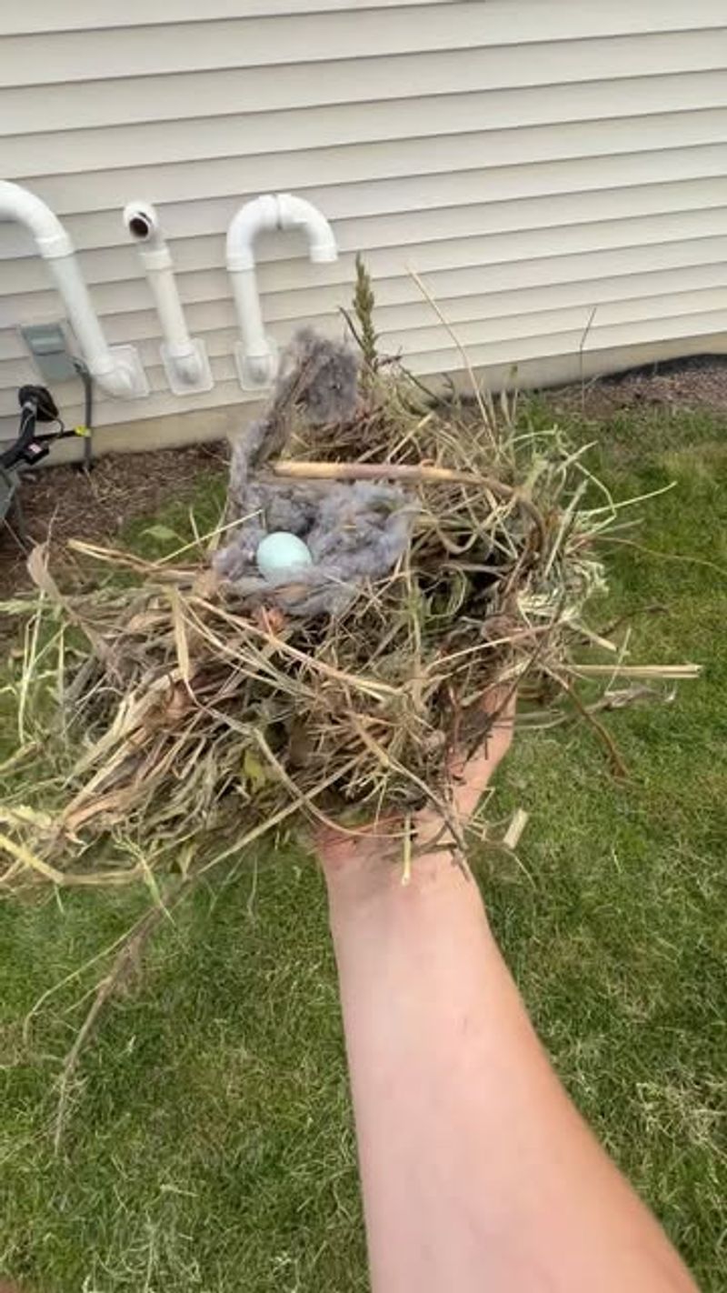 Contact Wildlife Experts When You Need Help