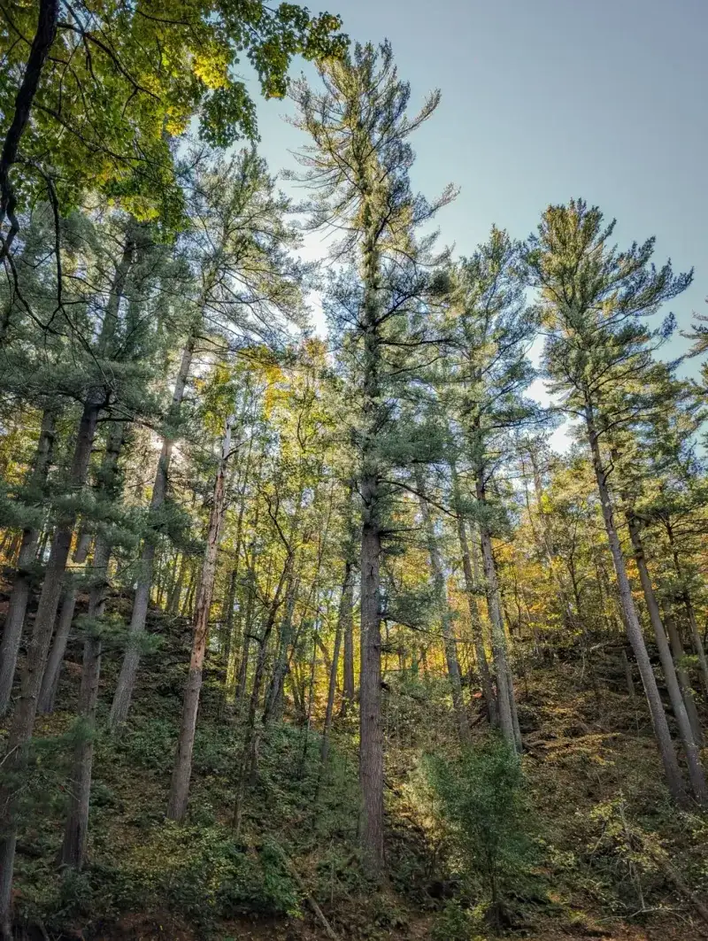 Preserving Sensitive Environmental Areas