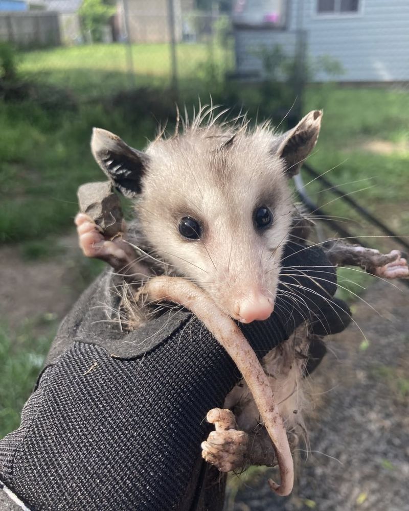 Professional Help Is Often Worth The Cost