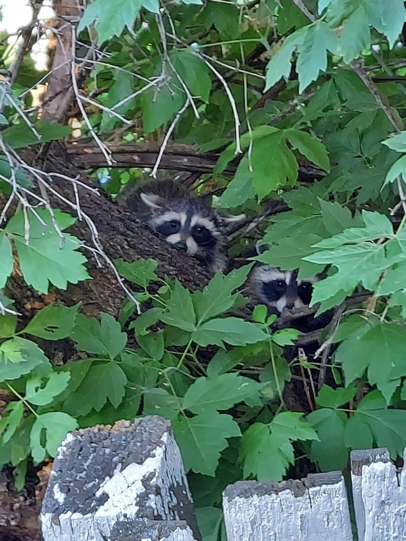 Professional Help Saves Time and Stress