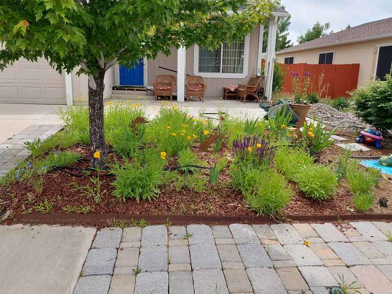 Homeowner Association Rules May Apply