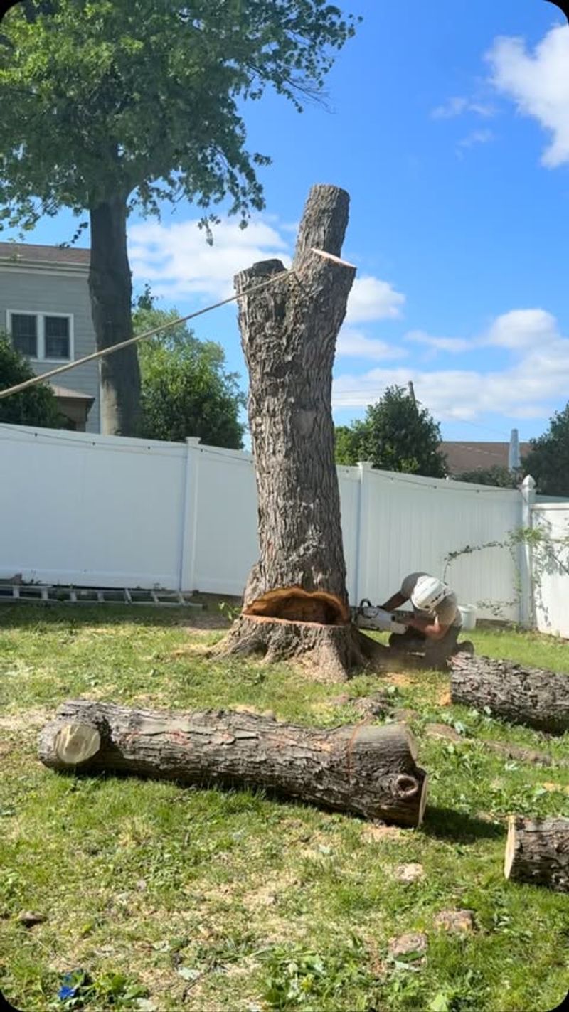 Removal Costs Can Be Negotiated