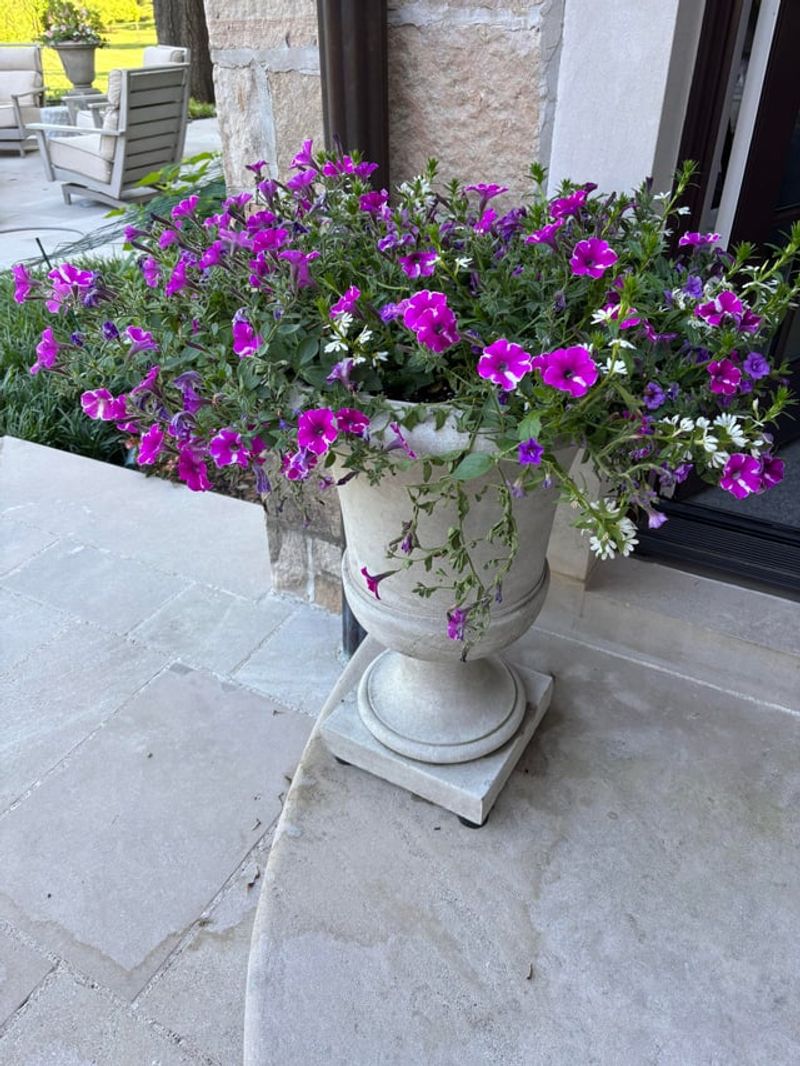 Conserves Water Through Less Evaporation Loss