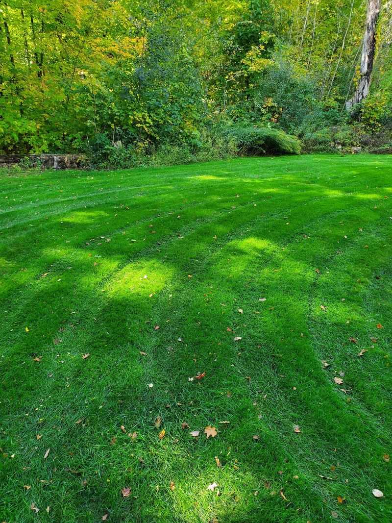 Reduces Soil Compaction in Tire Tracks