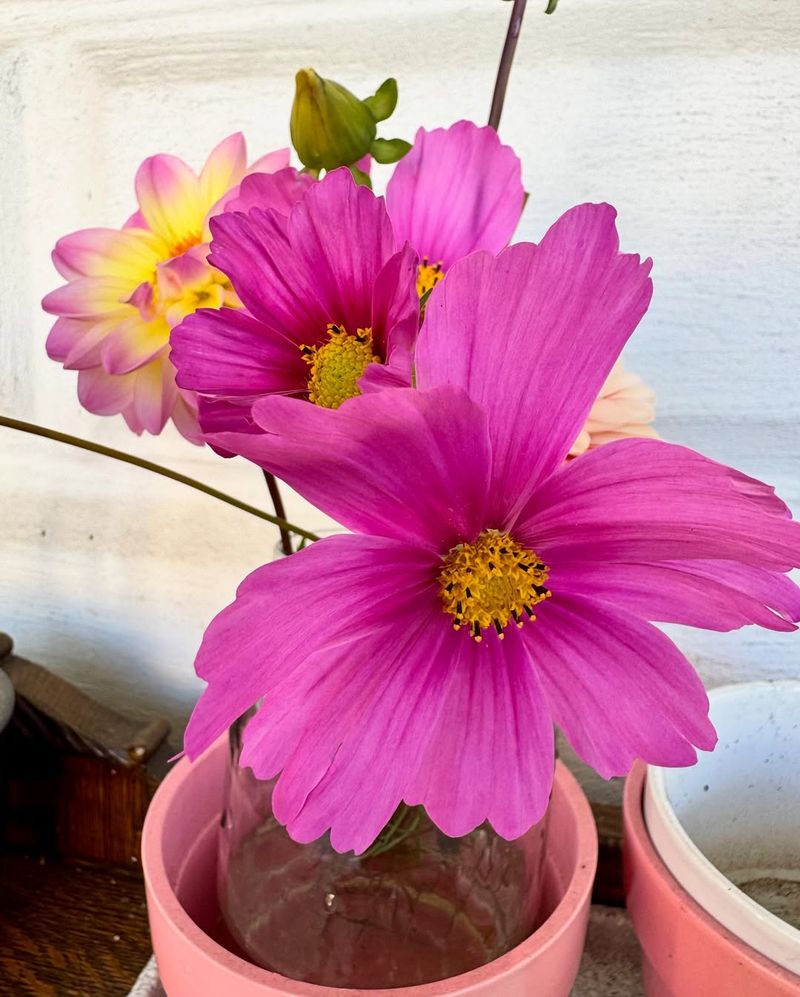 Encourages Fuller Blooms All Around The Plant