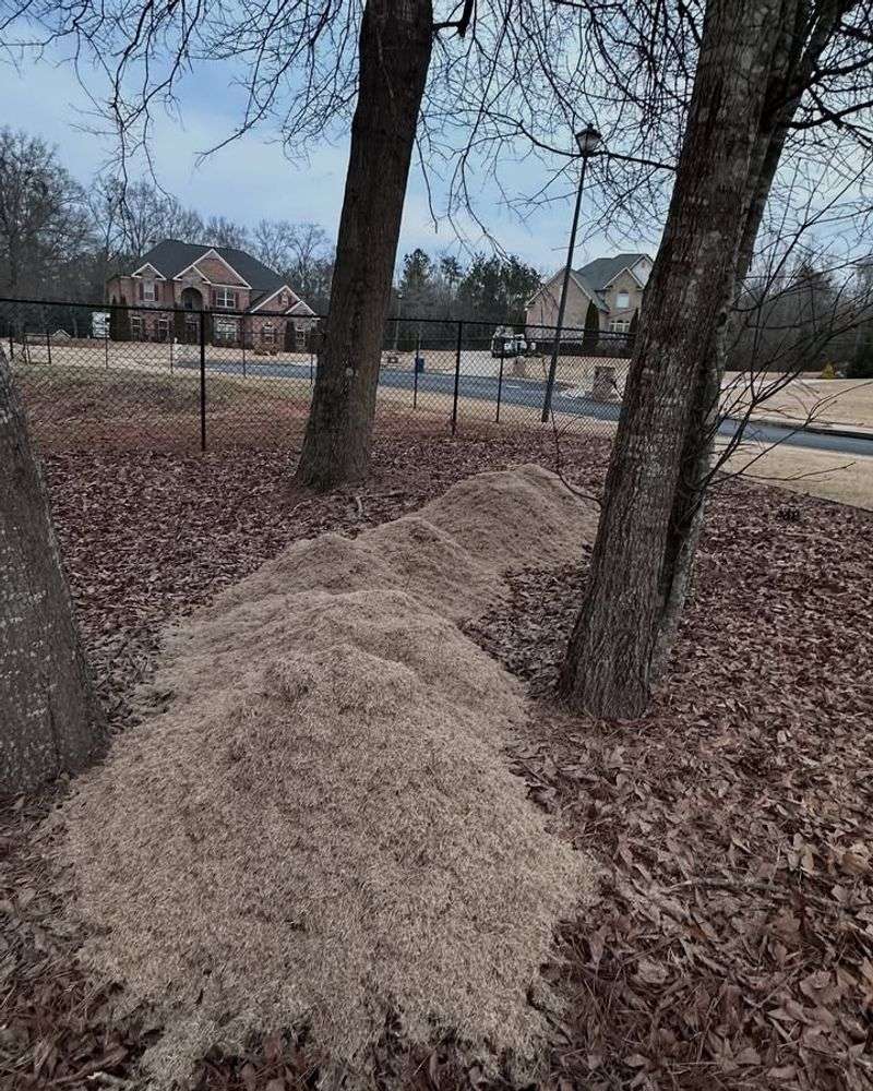 Reduces Matting And Thatch Buildup