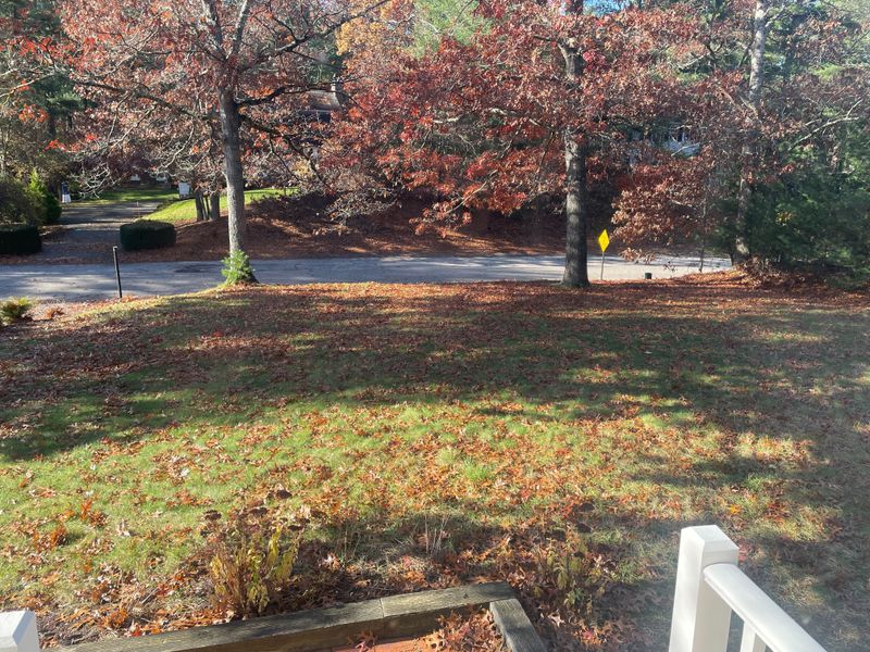 Easier Cleanup Before Winter Arrives