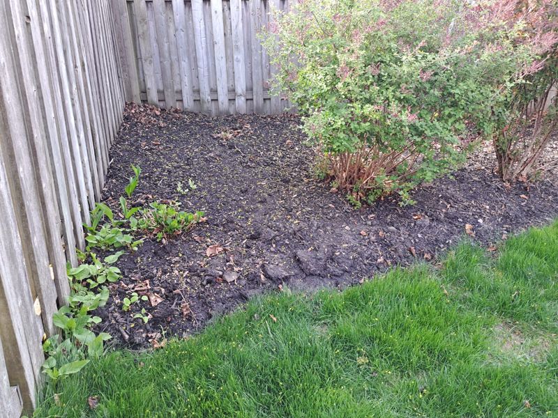 Reduces Weed Growth In Early Spring