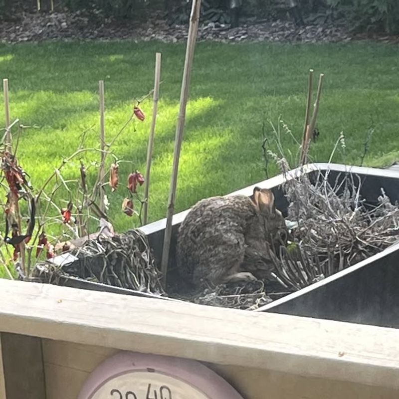 Improves Visibility And Safety Around Property