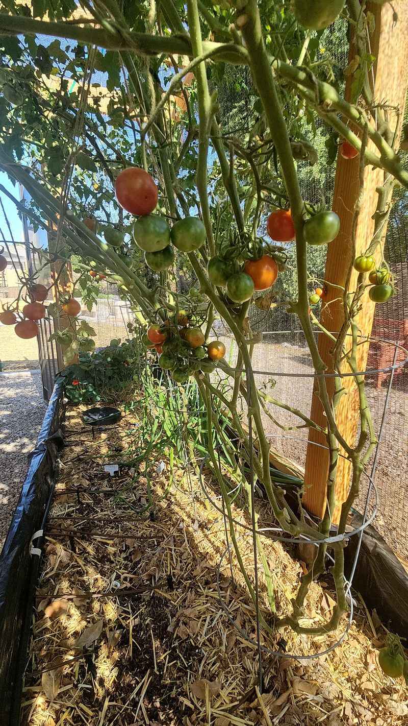 Directly Against Cold Concrete Foundations