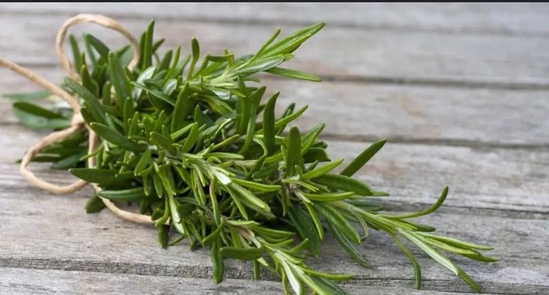 Offers Natural Stress Relief