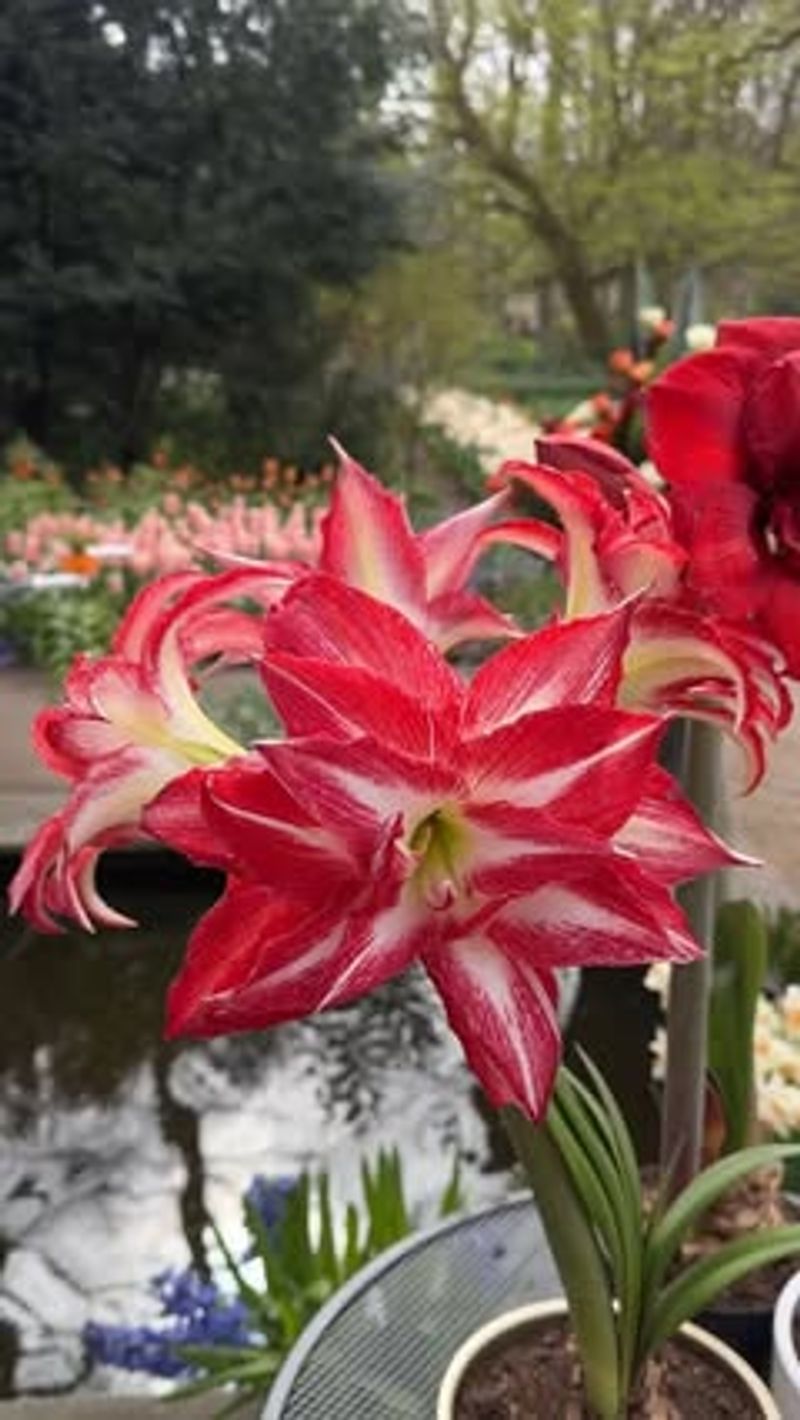 Requires Almost Zero Maintenance Effort