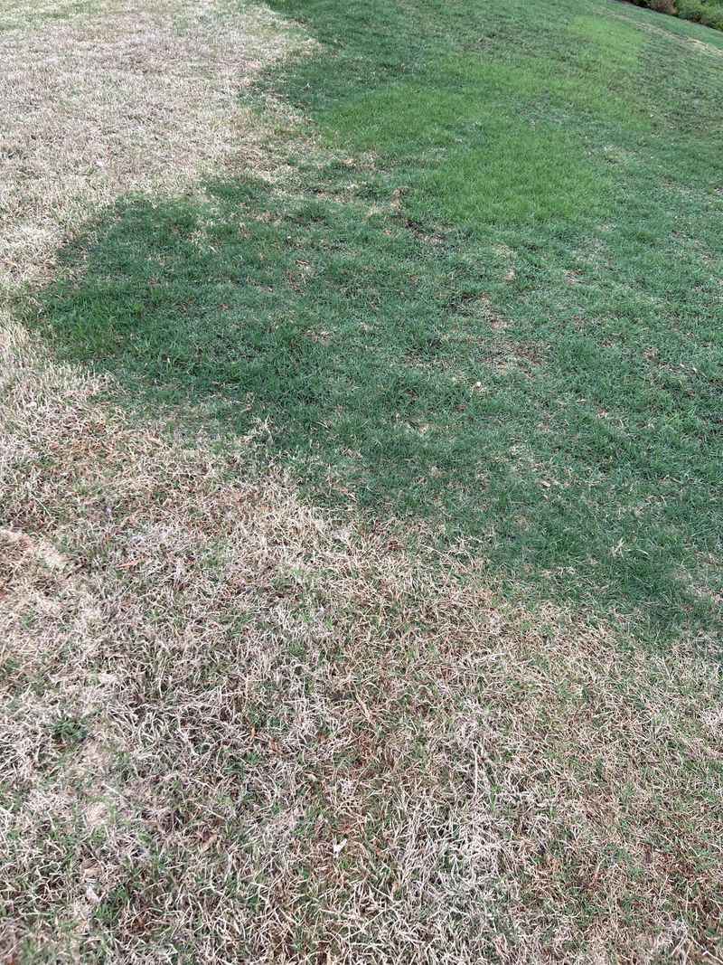 Reduces Fire Hazards In Dry Conditions