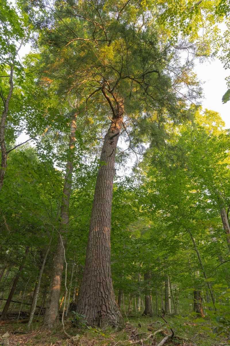 Cost-Effective Alternative to Traditional Signage