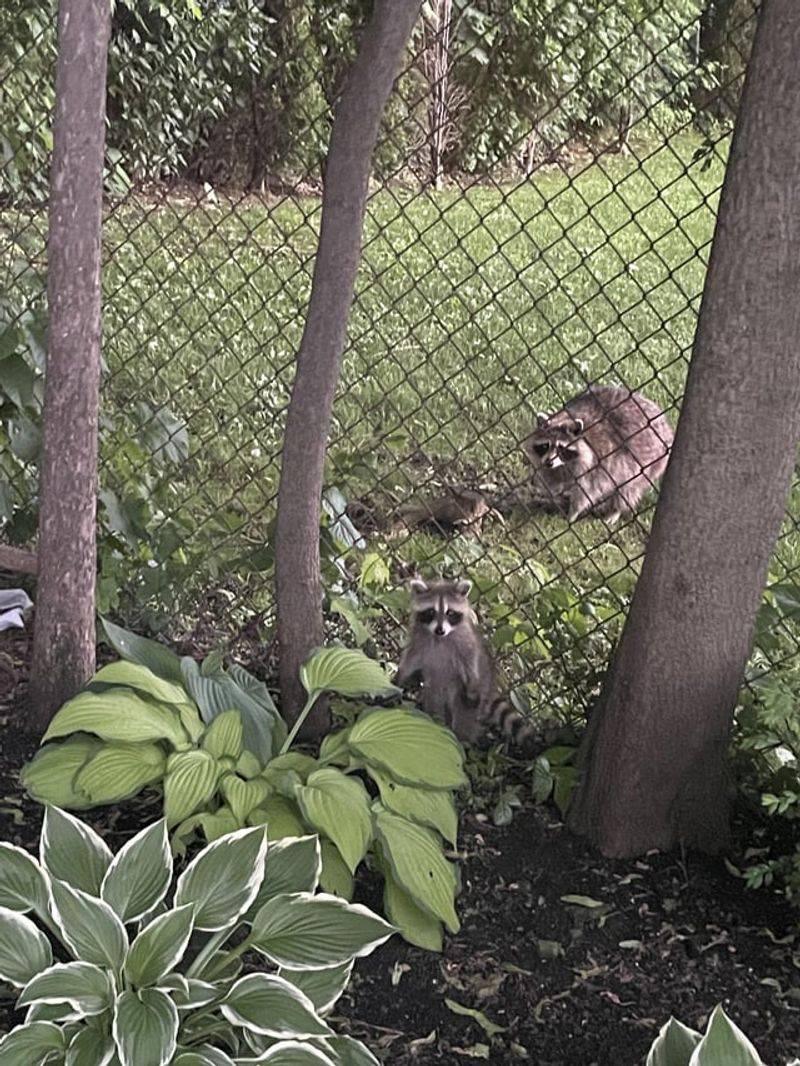 Timing Matters for Effective Removal