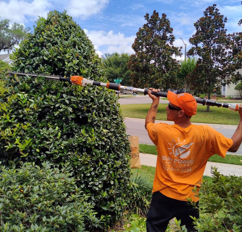 You Can Trim Without Permission