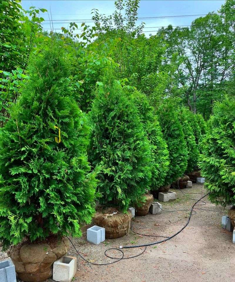 Easy To Source From Local Wisconsin Suppliers