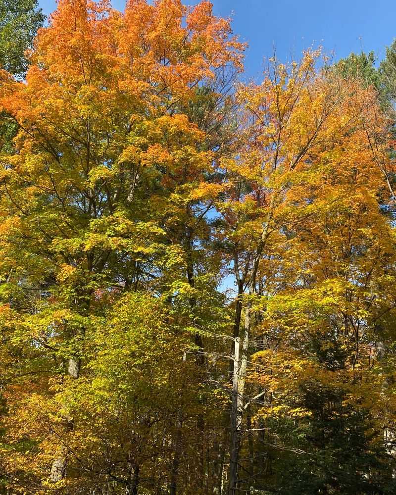 Preventing Liability from Unauthorized Visitors