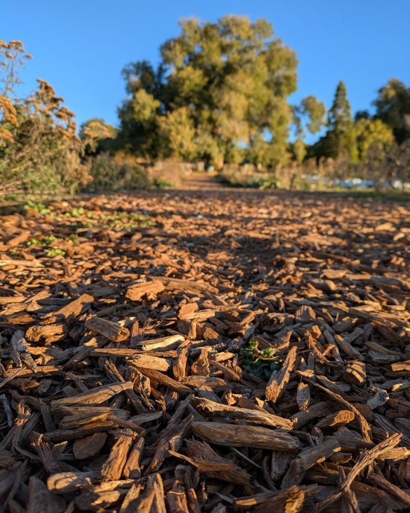 Prevents Soil Erosion During Snow Melt