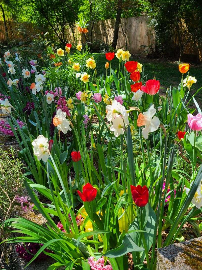 Boosts Flower Size And Color Intensity