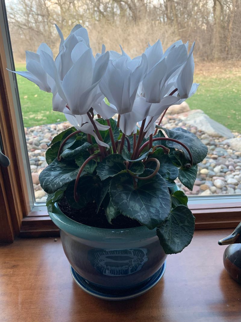 Keep Nighttime Temperatures Cool