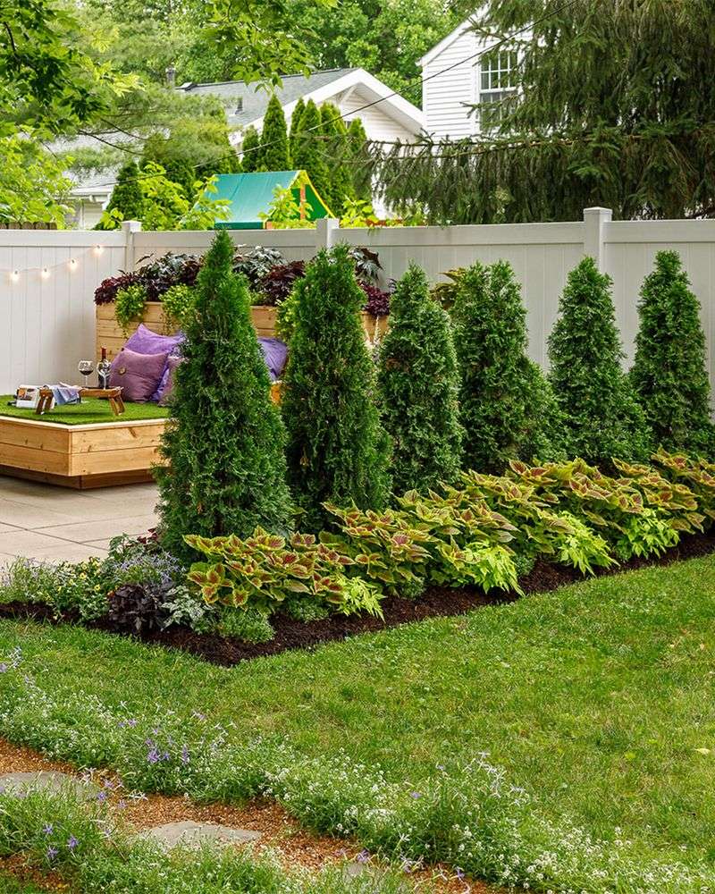 Choose Hardy Varieties For Future Plantings