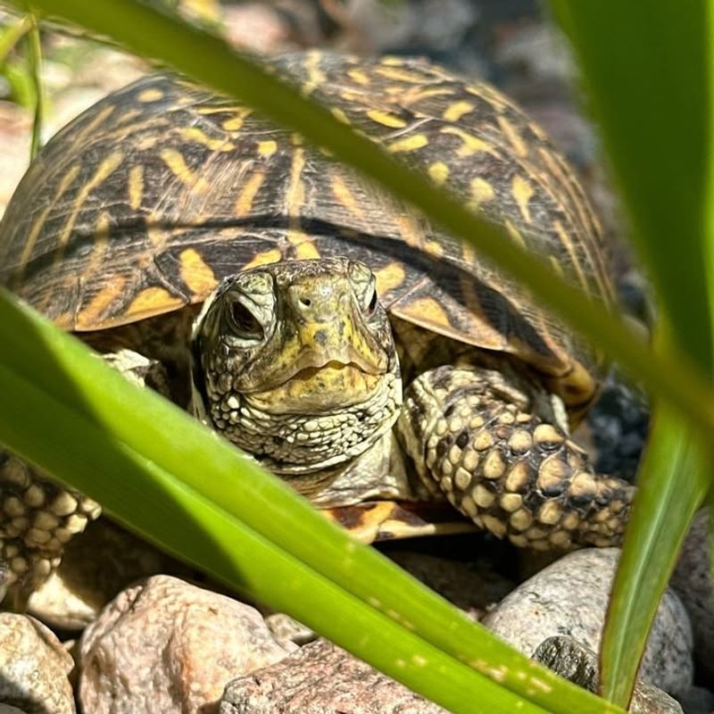 Avoid Relocating Unless Absolutely Necessary