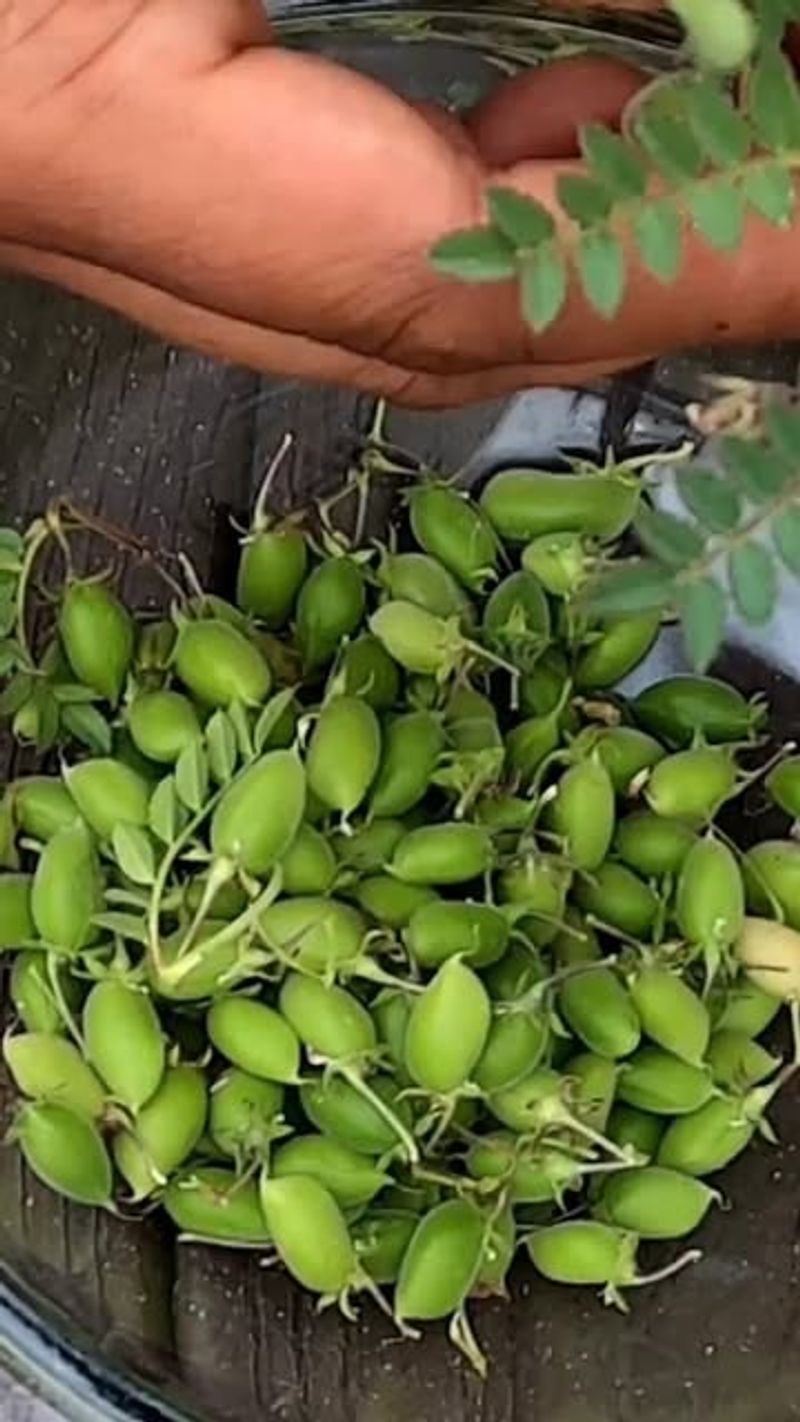 Maintain Consistent Indoor Temperatures