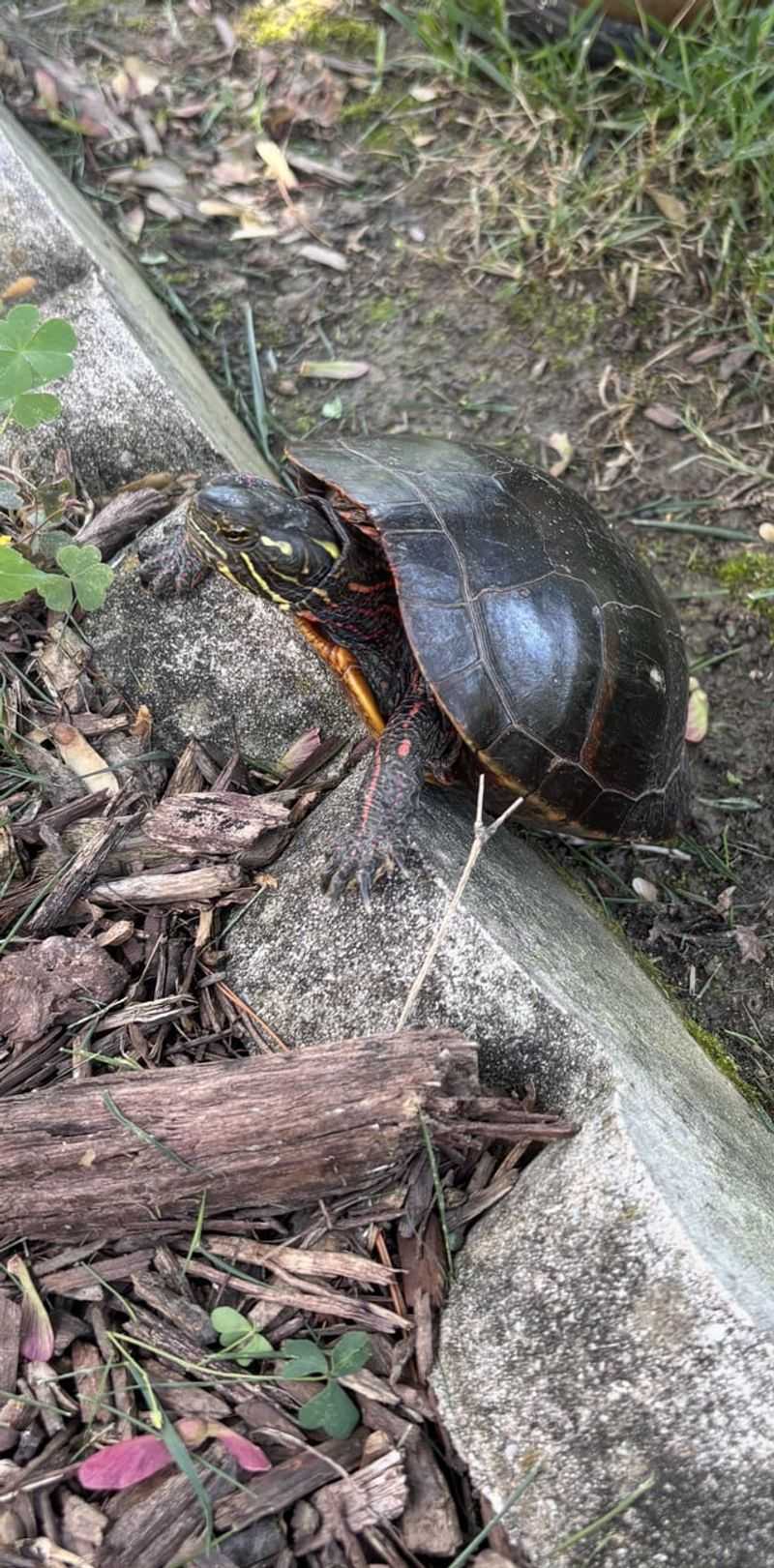 Contact Utah Wildlife Authorities