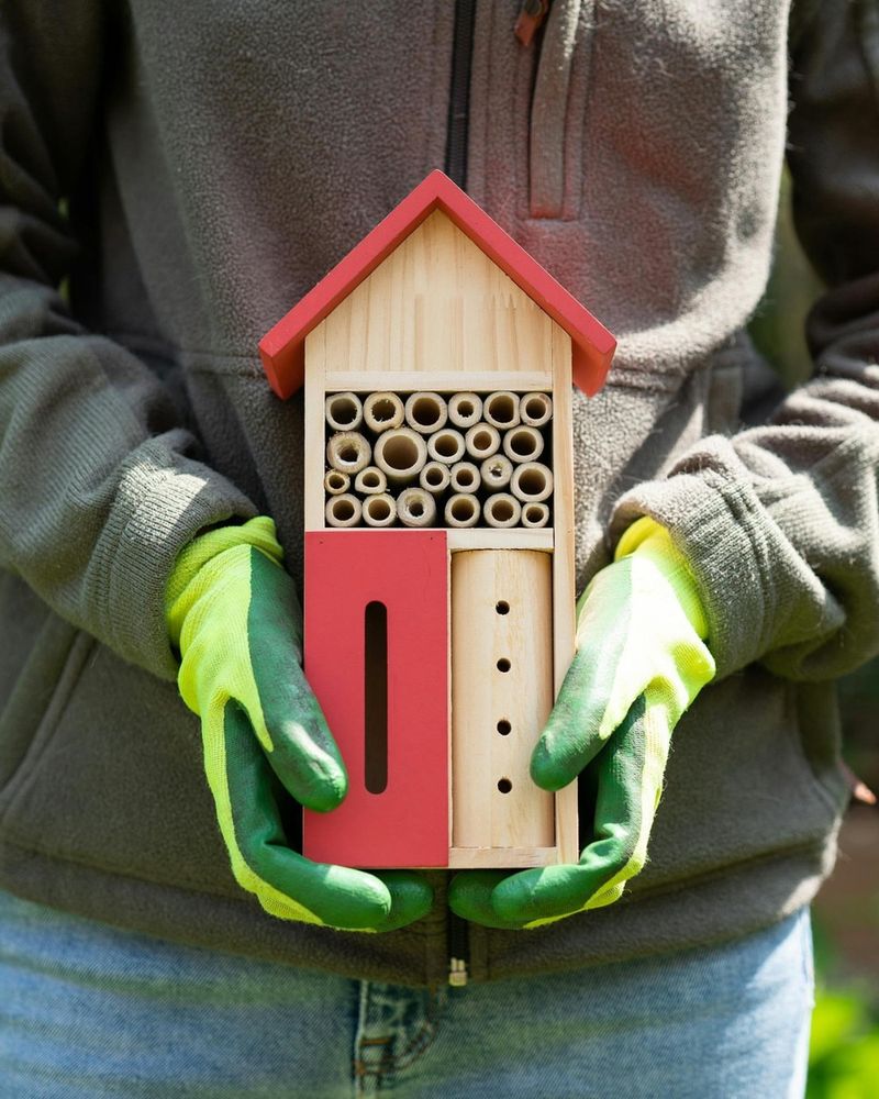 Install Bee Hotels And Insect Shelters