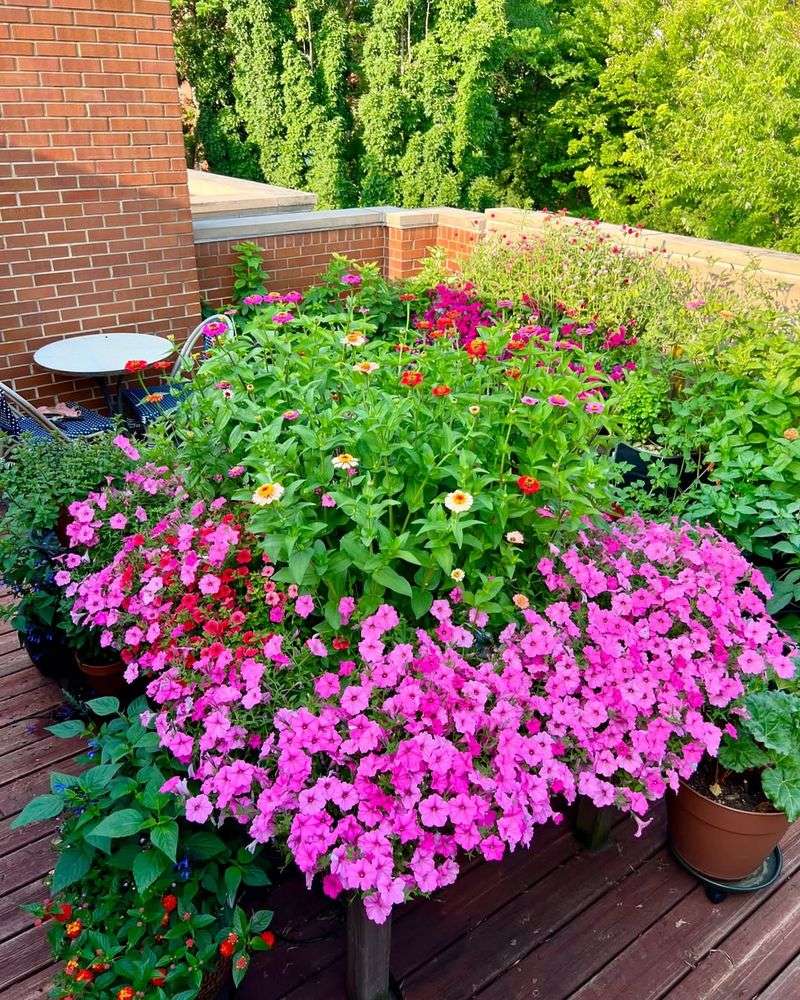 Complement Other Garden Elements Beautifully