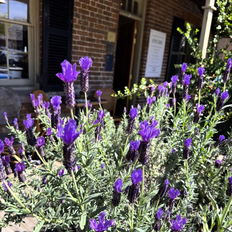 Year-Round Structure And Winter Interest