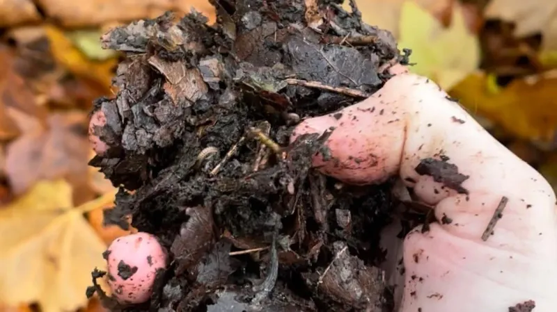 Balances Soil PH Naturally