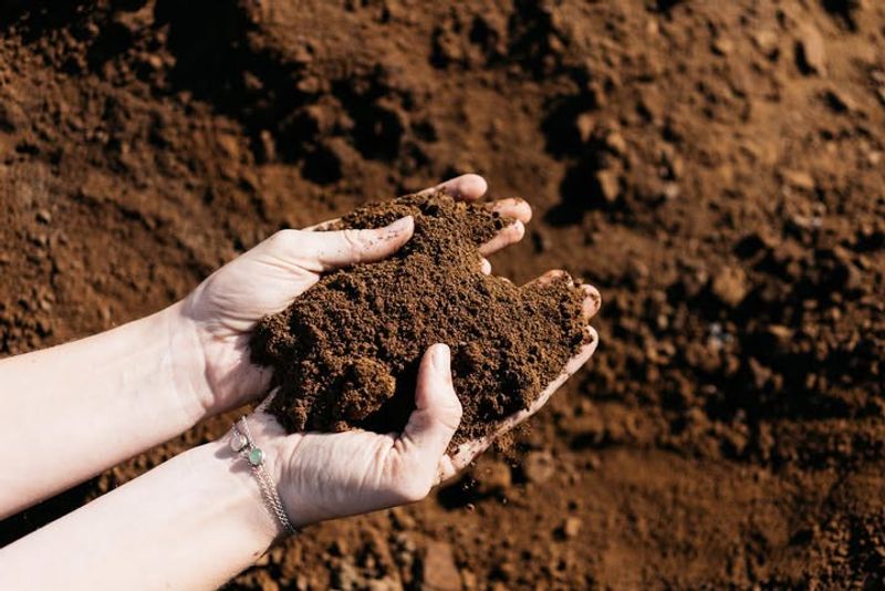 Suppresses Certain Soil-Borne Diseases