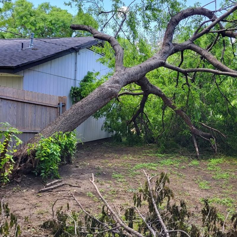 Check Your Homeowner's Insurance Coverage