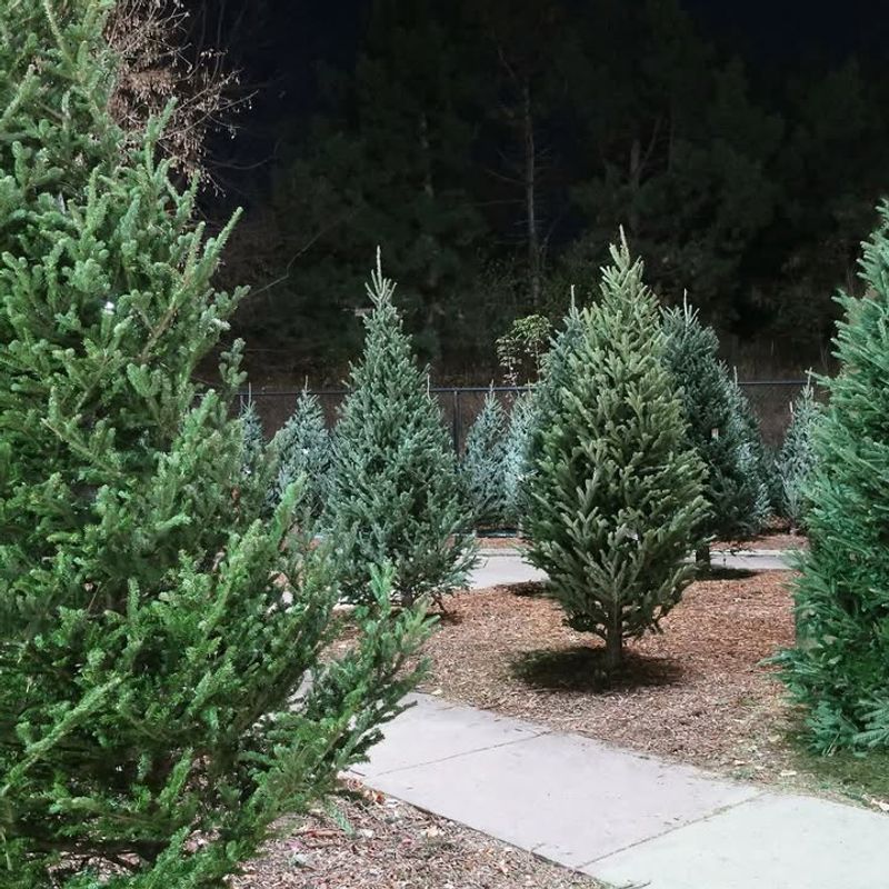 Monitor Weather Forecasts And Water During Warm Spells