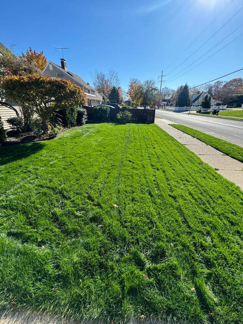 Fertilize Your Lawn One Last Time