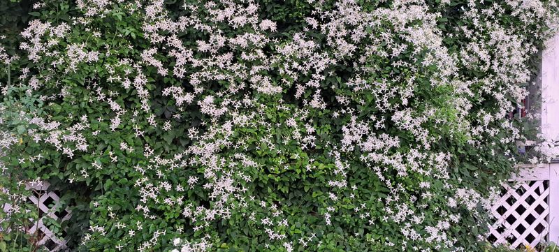 Provide Strong Support Structures