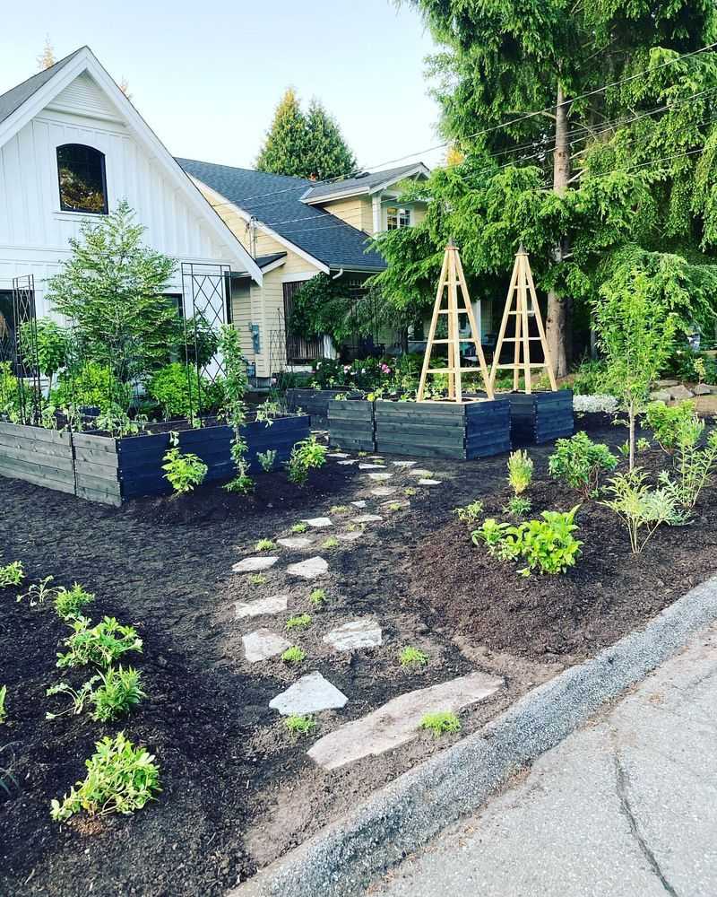 Vegetable Gardens in Front Yards