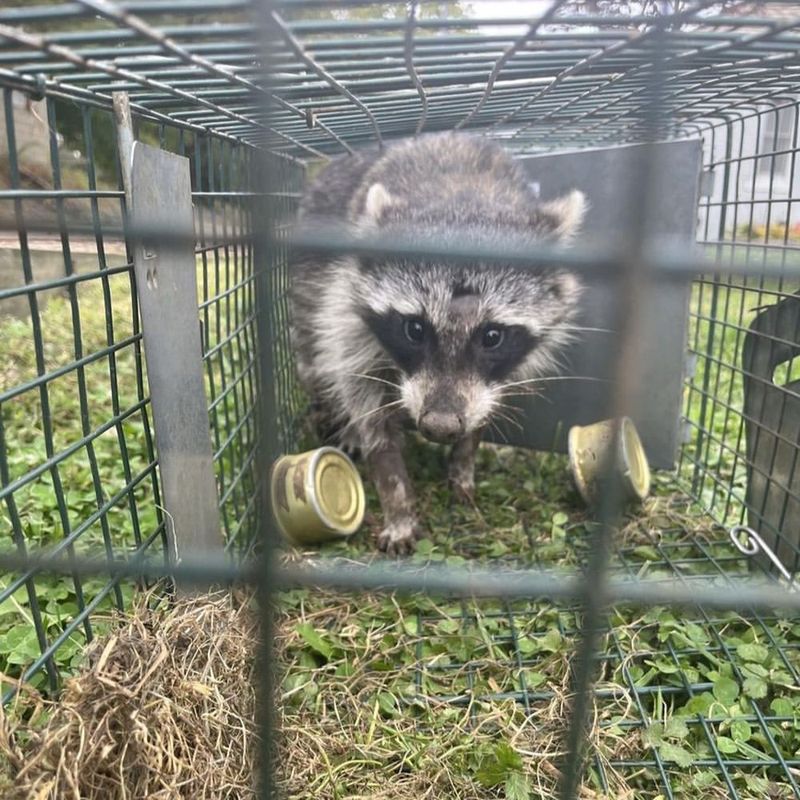 Professional Help Saves Headaches