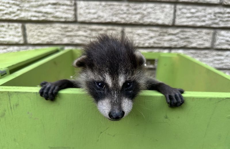 Exclusion Methods Require Specific Timing