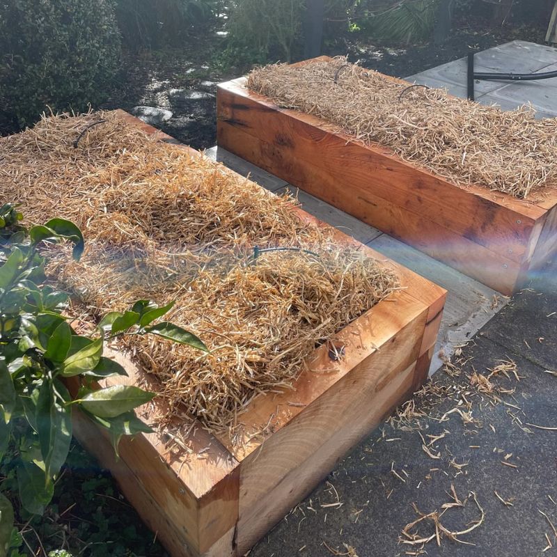 Straw Bale Gardening Beds