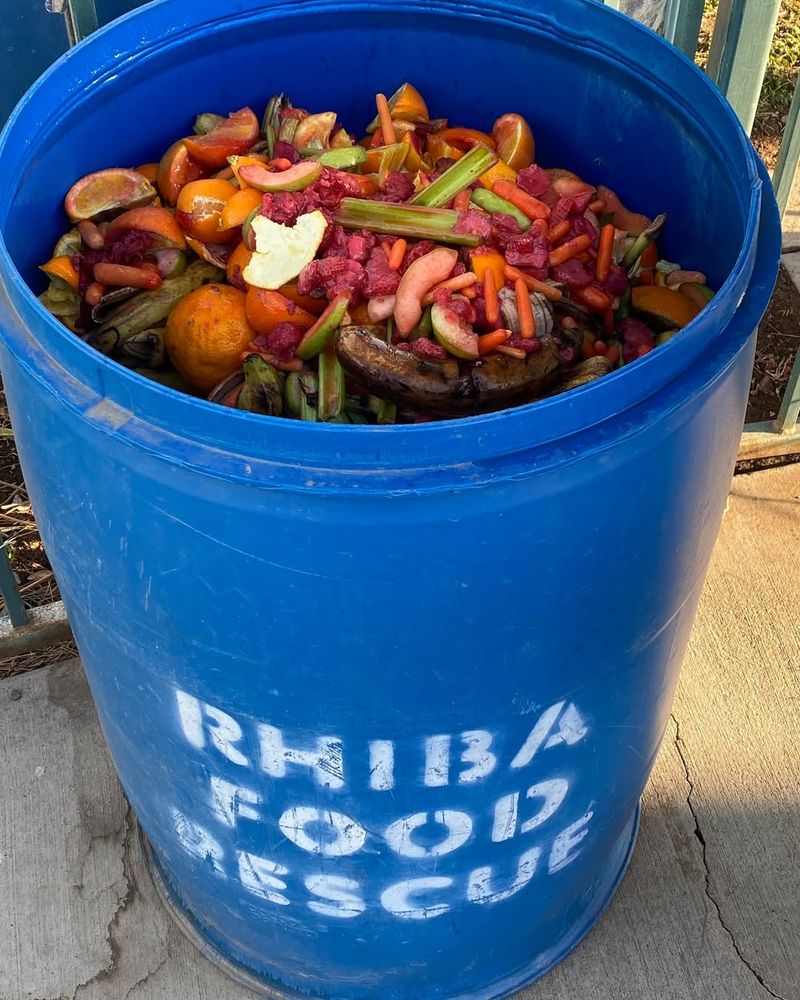 Composting Kitchen Scraps Reduces Landfill Waste Dramatically