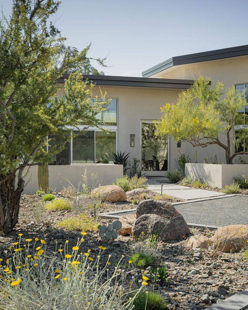 Native Desert Landscaping