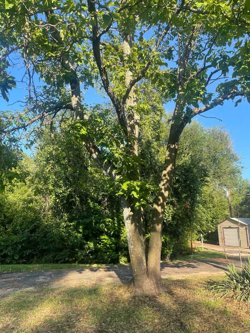 Easy Visibility in All Seasons