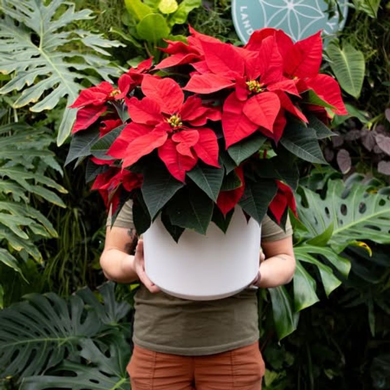 Creating The Perfect Microclimate